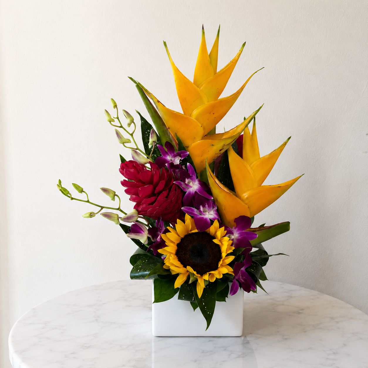 Tropical con Orquídeas